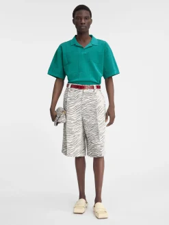 De Bacino polo