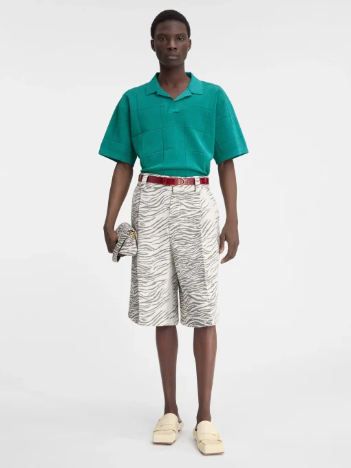 De Bacino polo