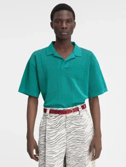 De Bacino polo