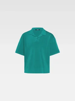 De Bacino polo