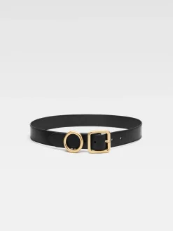 De Regalo riem